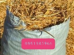 Сено в БУДКУ собакам с доставкой, сіно в мешках тюках овсяное и др.