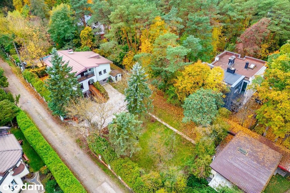 Dom w Hornówku w zalesionej okolicy