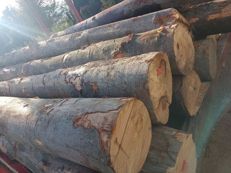 Drewno opałowe kominkowe buk cięte łupane