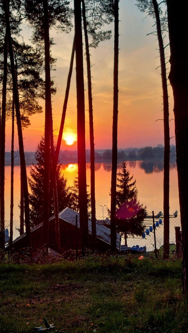 Sprzedam domek letniskowy nad jeziorem Zbąszyńskim typu Brda