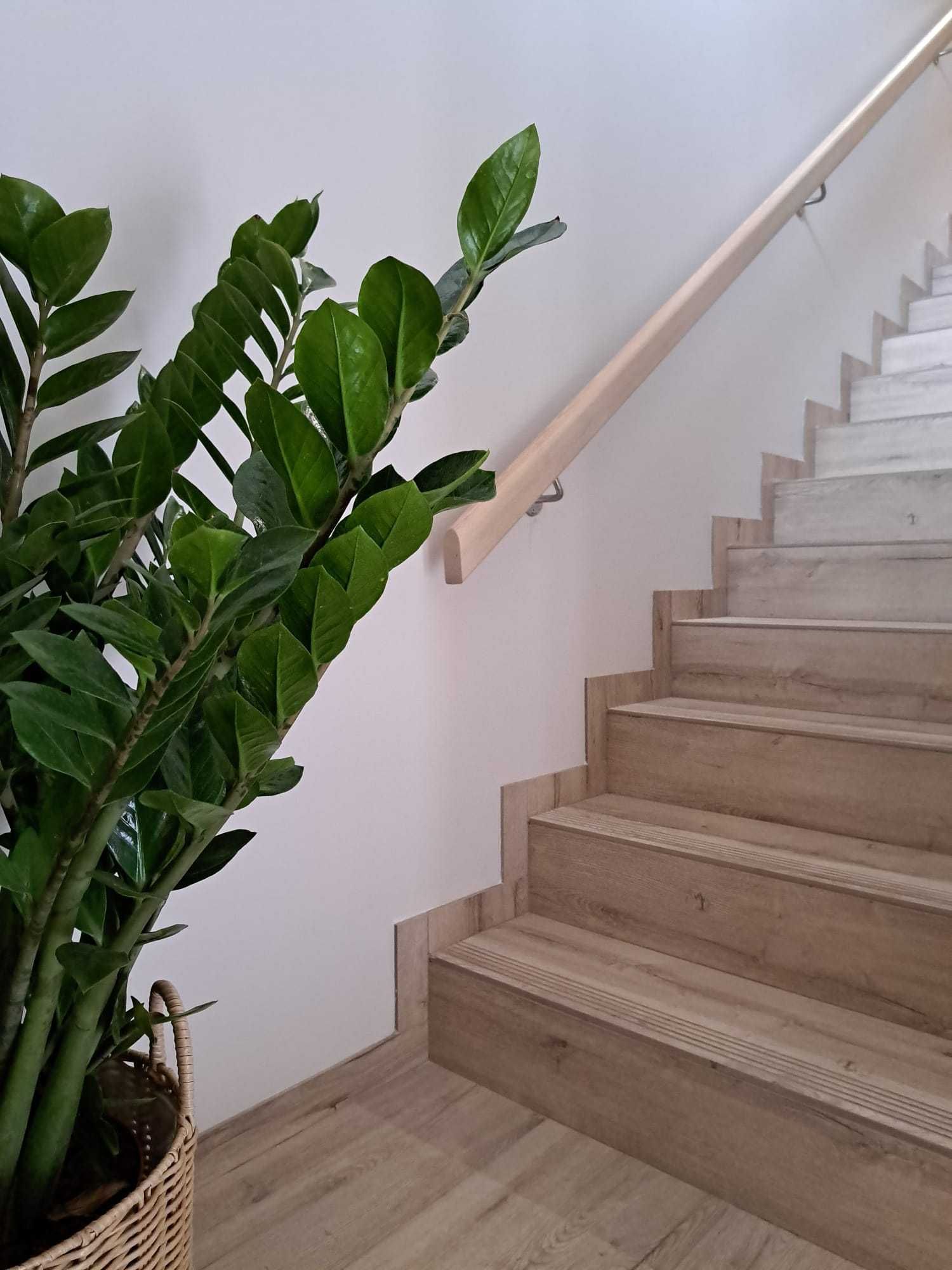 Apartamenty Wałowa 7 Rewa