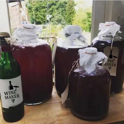 Набір винороба. Покрокова інструкція + гідрозатвор + матеріал