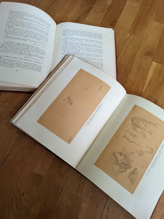 Тарас Шевченко Мистецька спадщина 2 томи 3 та 4