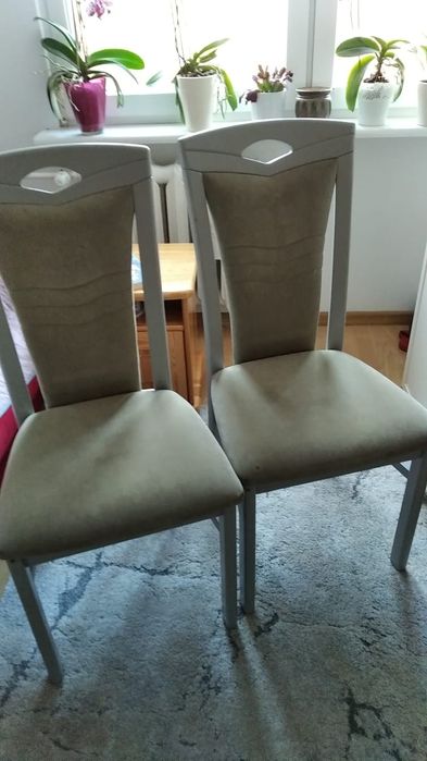 Krzesła drewniane z kolekcji klose.