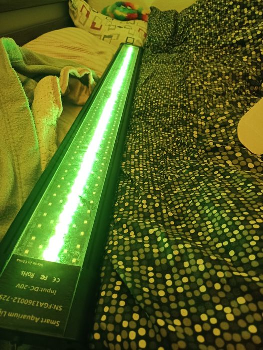 Lampada aquario plantados