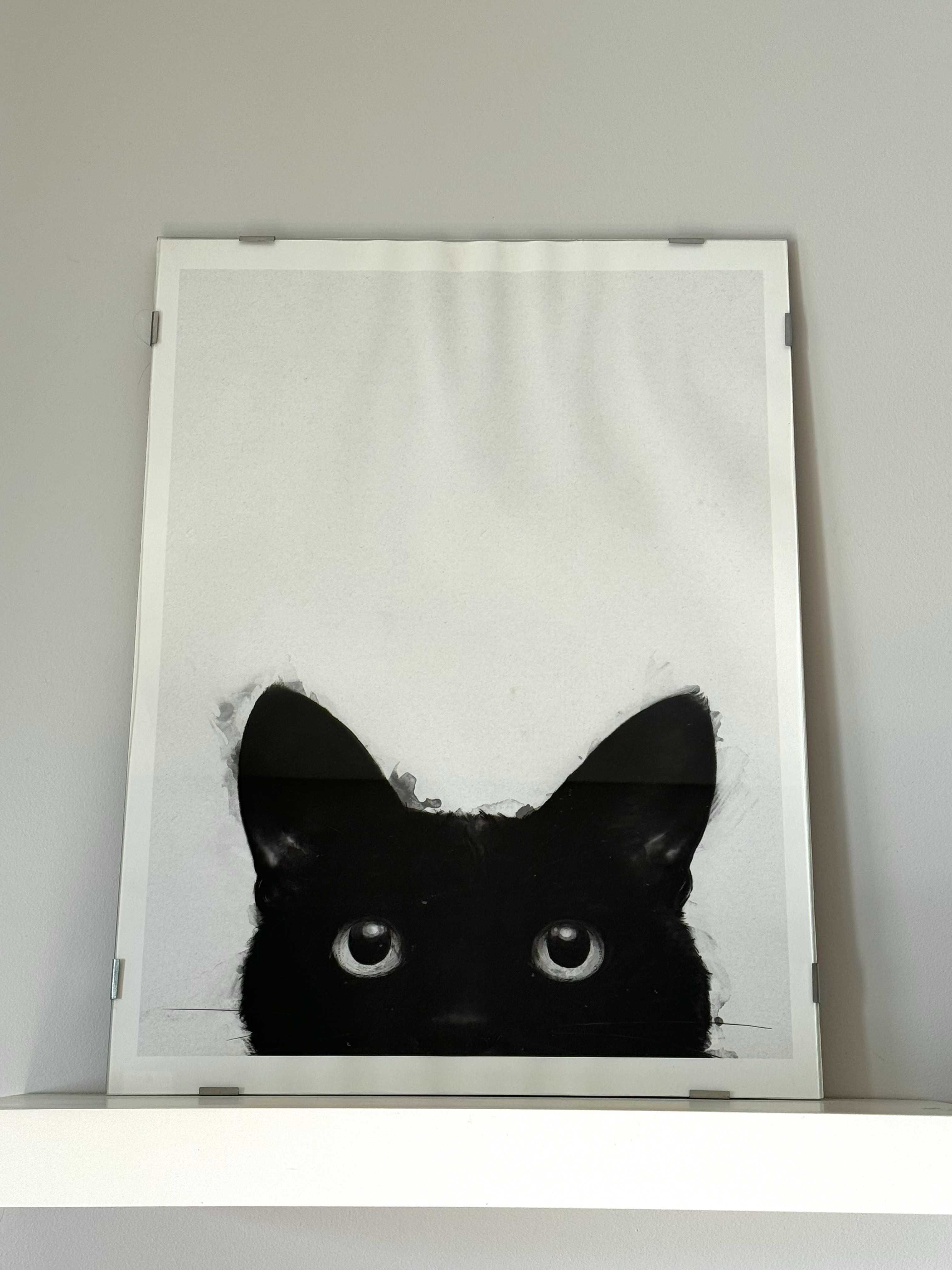 Poster gato preto com moldura