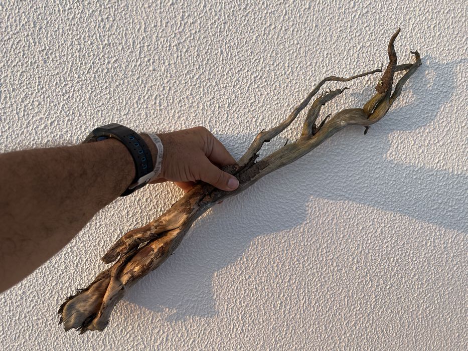 Tronco para aquario ou terrario