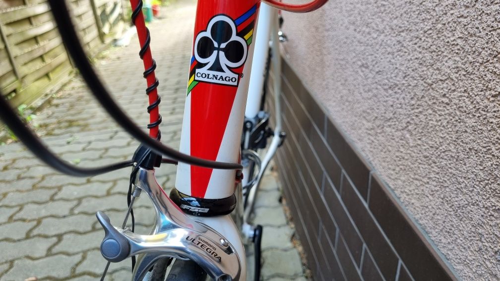 Rower Colnago Primavera