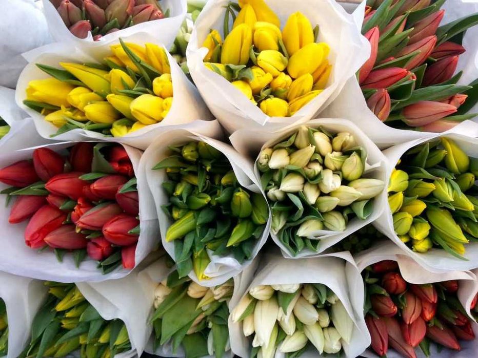 Тюльпан, роза, эустома оптом и розница.