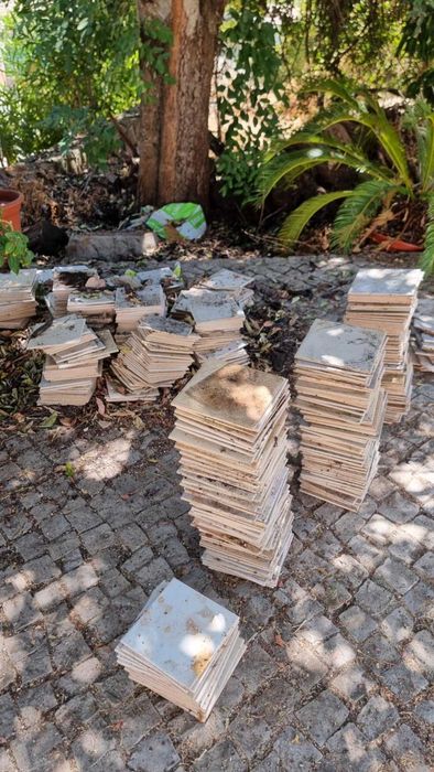 Azulejos brancos 20x20