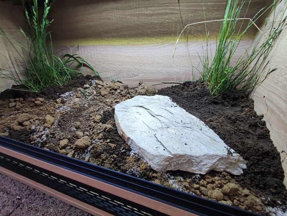 Terrarium pustynne nr564 80/40/40 dla żółwia lądowego - NA ZAMÓWIENIE