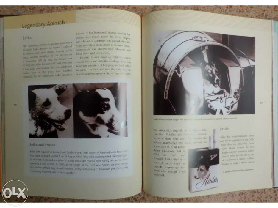 Livro "Very important pets"