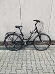 Rower UNIBIKE VOYAGER Lady 19" + gratisy!