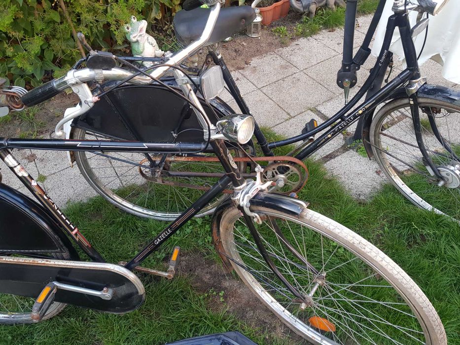 damka gazelle  retro