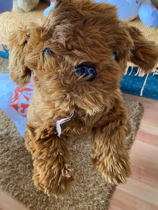 Peluche em bom estado