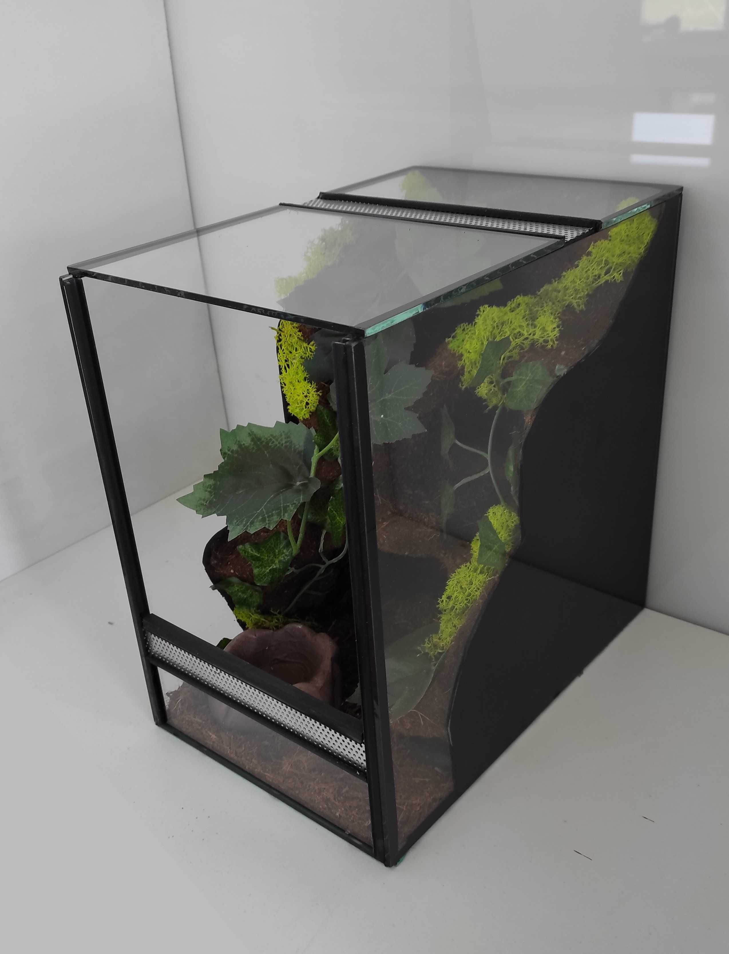 Terrarium dla ptasznika, pająka, TW23TP, AquaWaves