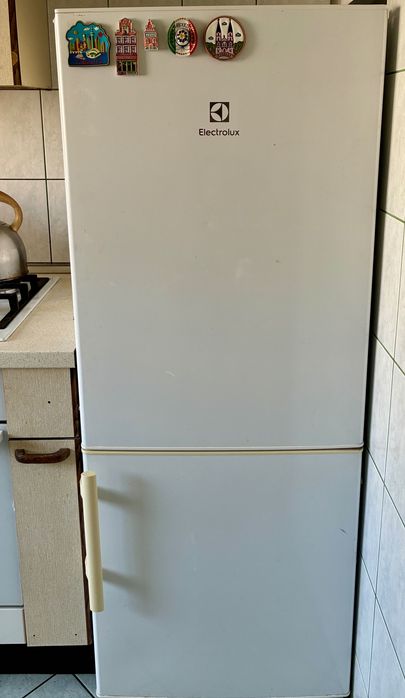 Lodówka z zamrażalnikiem Electrolux wolnostojąca