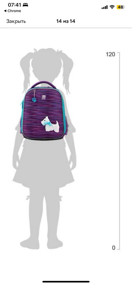 Набір для школи kite( рюкзак каркасний,пенал,сумка для взуття)