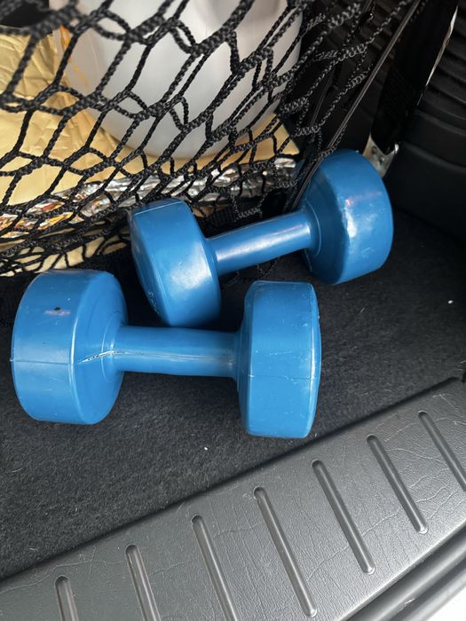 2 Halteres de 3kg cada