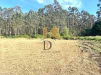 Terreno Misto em Pereira