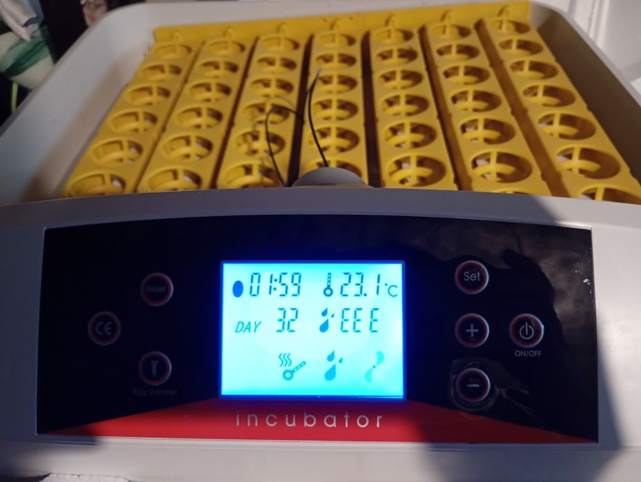 Inkubator do wylęgu jaj automatyczny