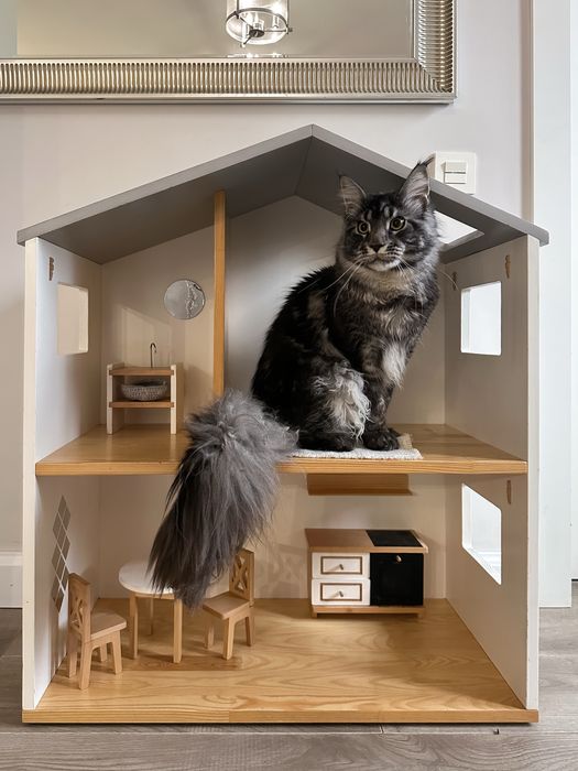 Дитячий ляльковий будиночок (дерево) zara