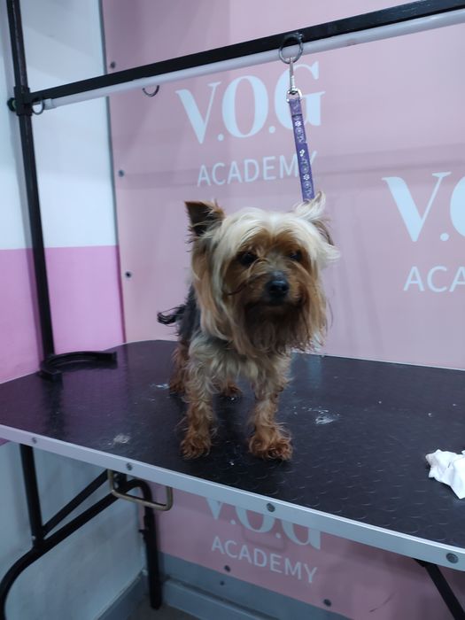 Шукаю моделей для створення портфоліо