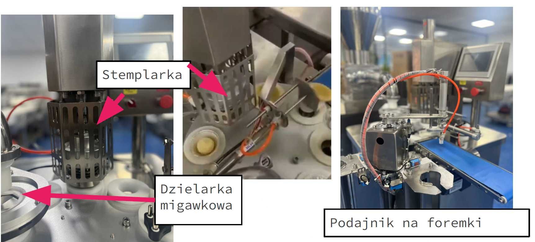 Linia Maszyna do produkcji korpusów babeczek/tartaletek
model DT-A303S