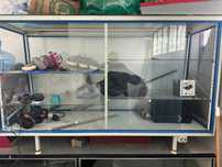 vitrine com iluminação mafirol