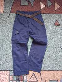 Штани dickies cargo pants