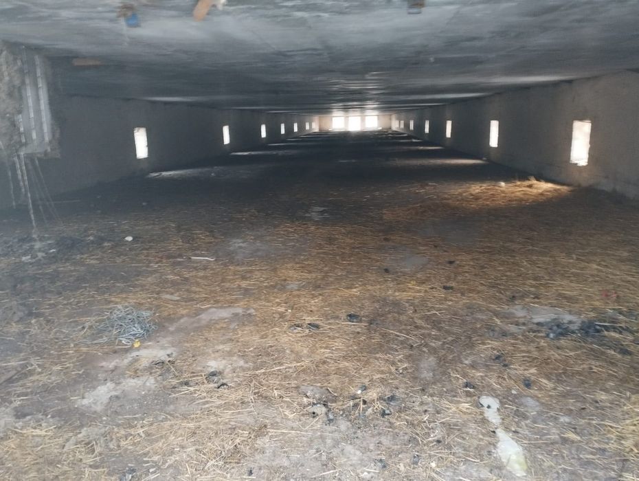 Продам Птахофабрику бройлер несушка