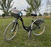 Rower damski MAXIM