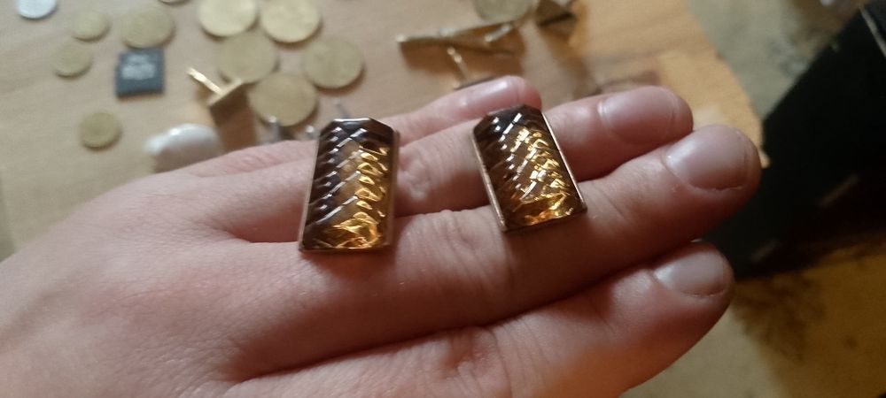 Запанки янтарні,брушнинові