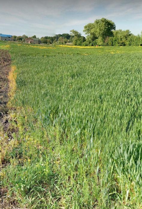 Земля 10соток під бізнес,забудову