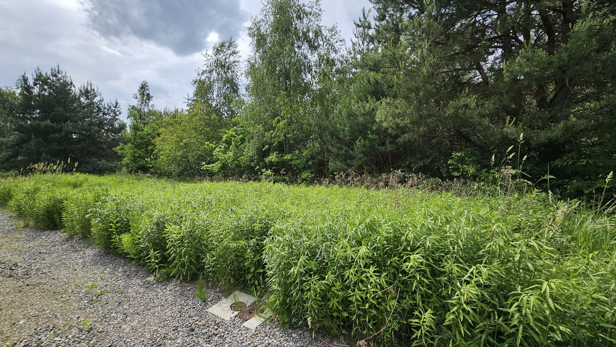 Działka budowlana inwestycyjna CISIE gmina Halinów 3400m2