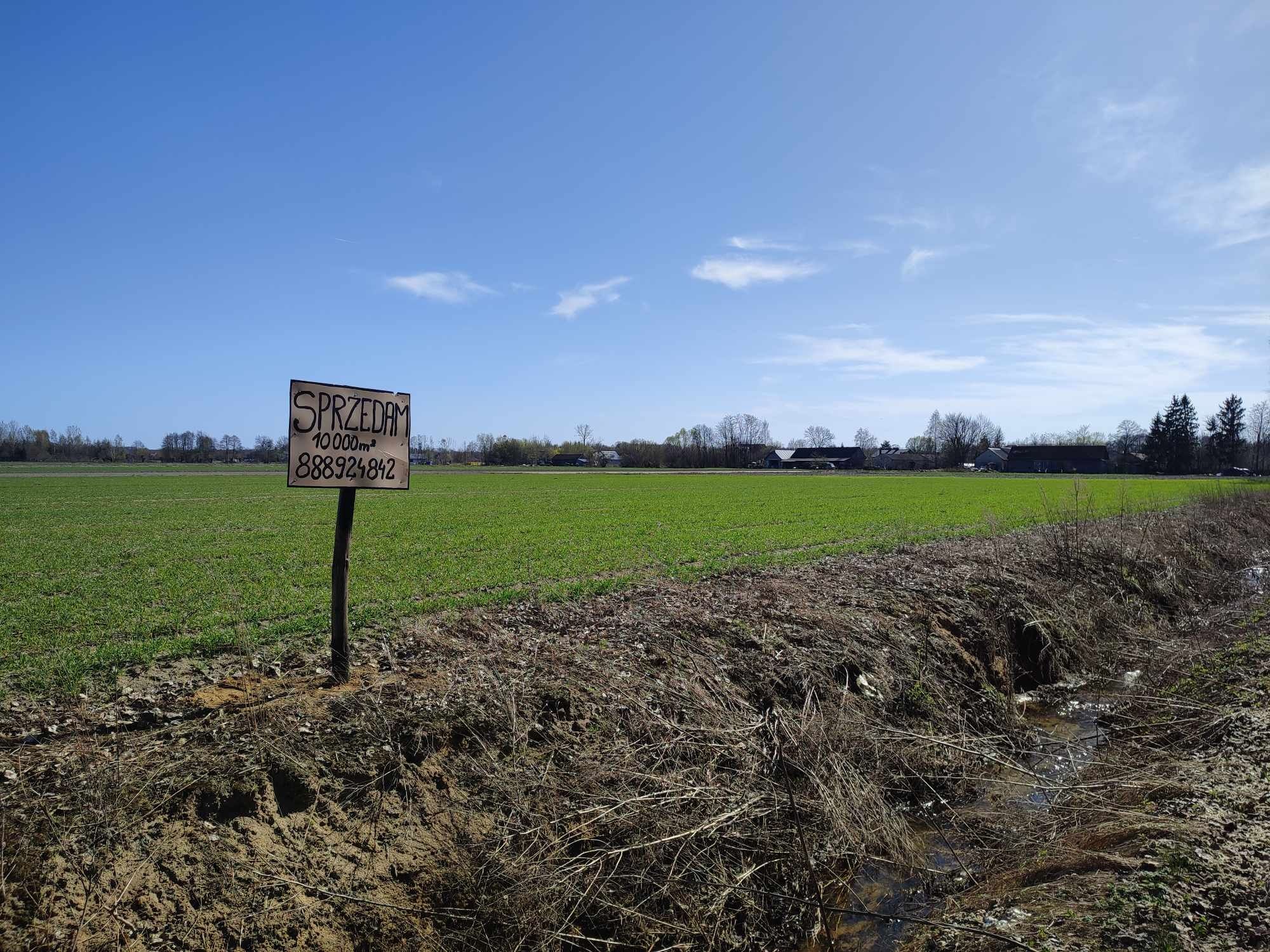 Sprzedam działkę 12000 m² w Aleksandrii  koło Żyrardowa