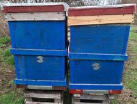 Продам вулики Дадан б/у та нові