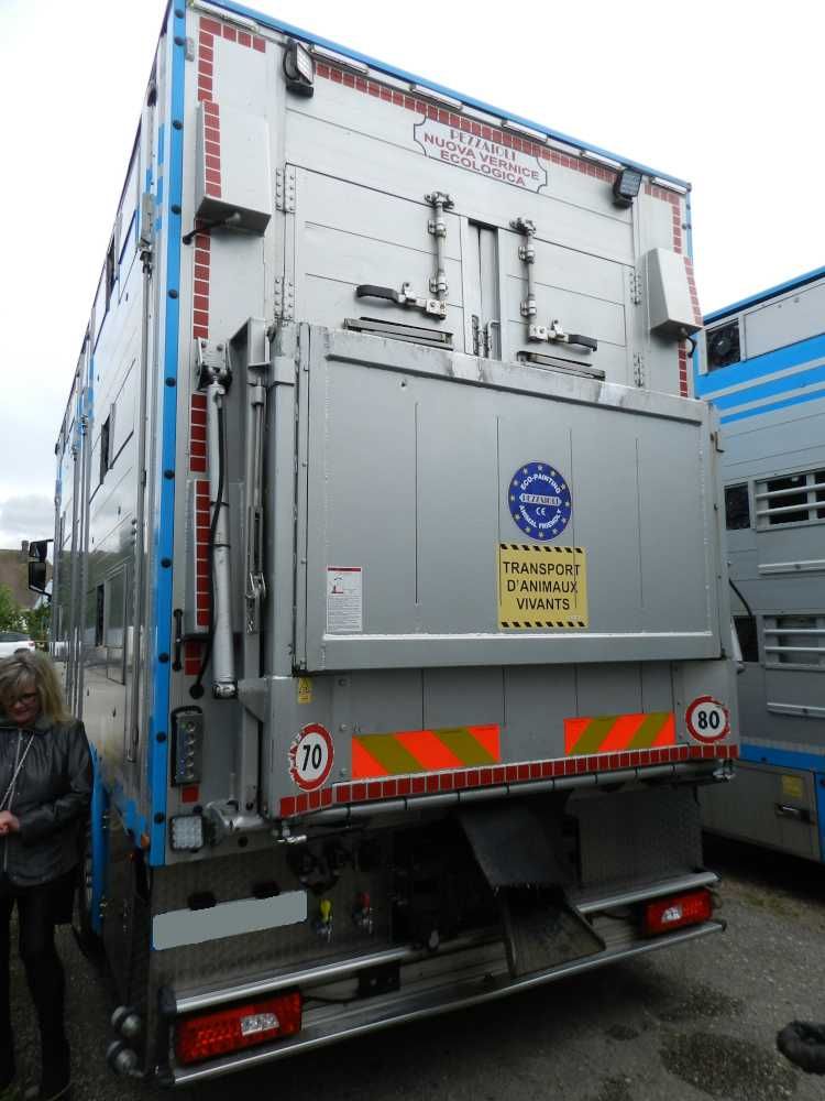 Do Zwierzat Zestaw SCANIA S660 zab i przy PEZZAIOLI 11/2021