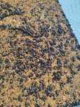 Larvas de Amendoim_Alimento de Peixes