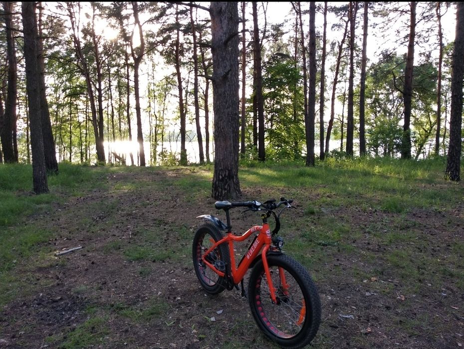 Електровелосипед Hulk Like.Bike