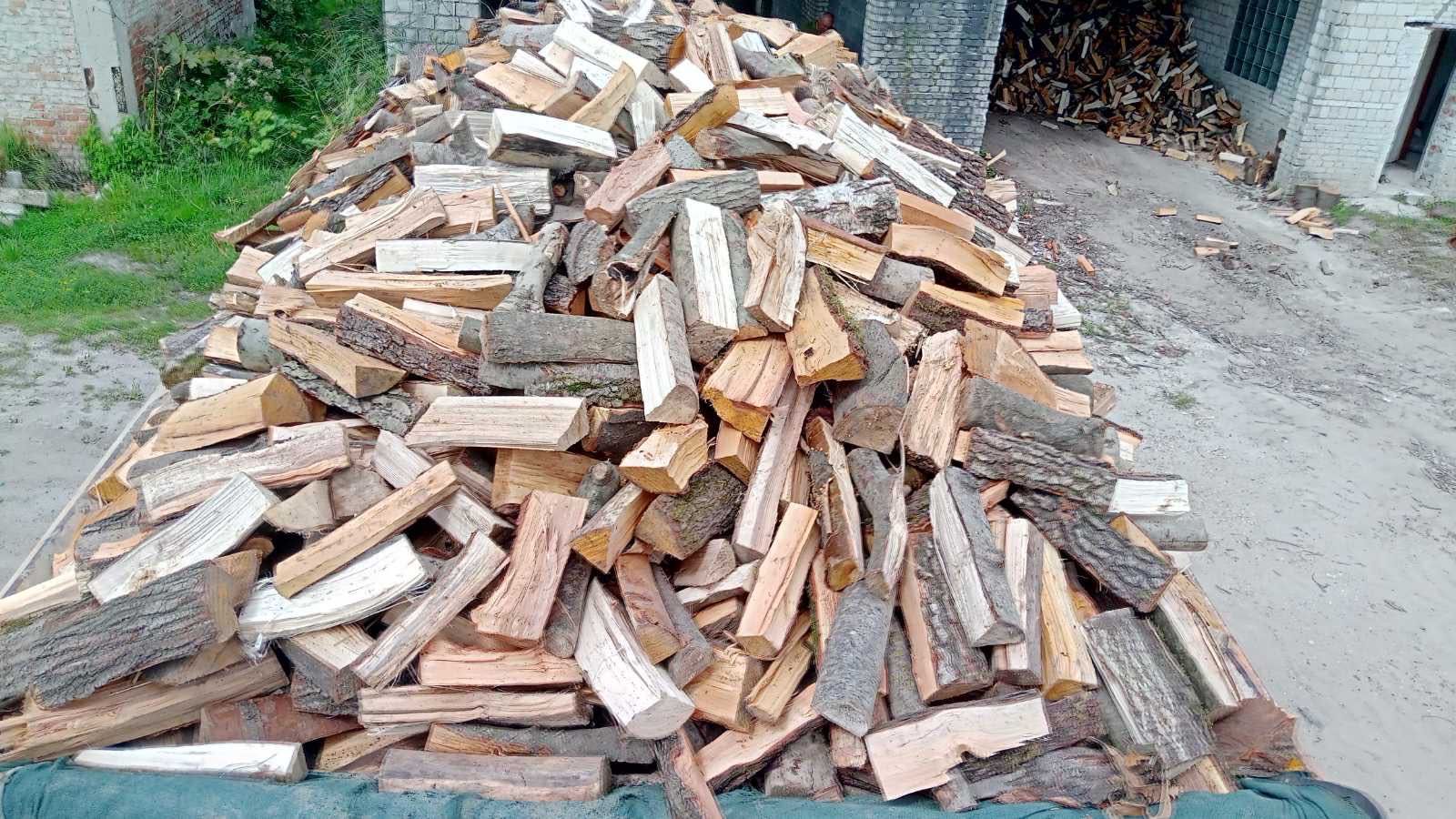 Дрова Новий-Розділ 1300 грн