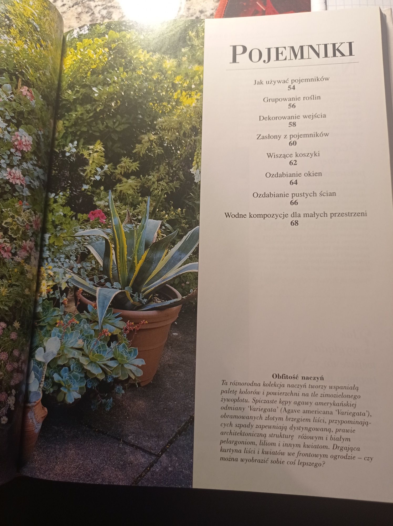 Niedzielny ogrodnik książka, poradnik