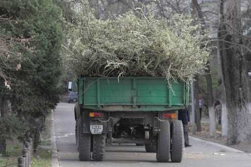 Уборка расчистка участка Удаление деревьев измельчитель веток вывоз