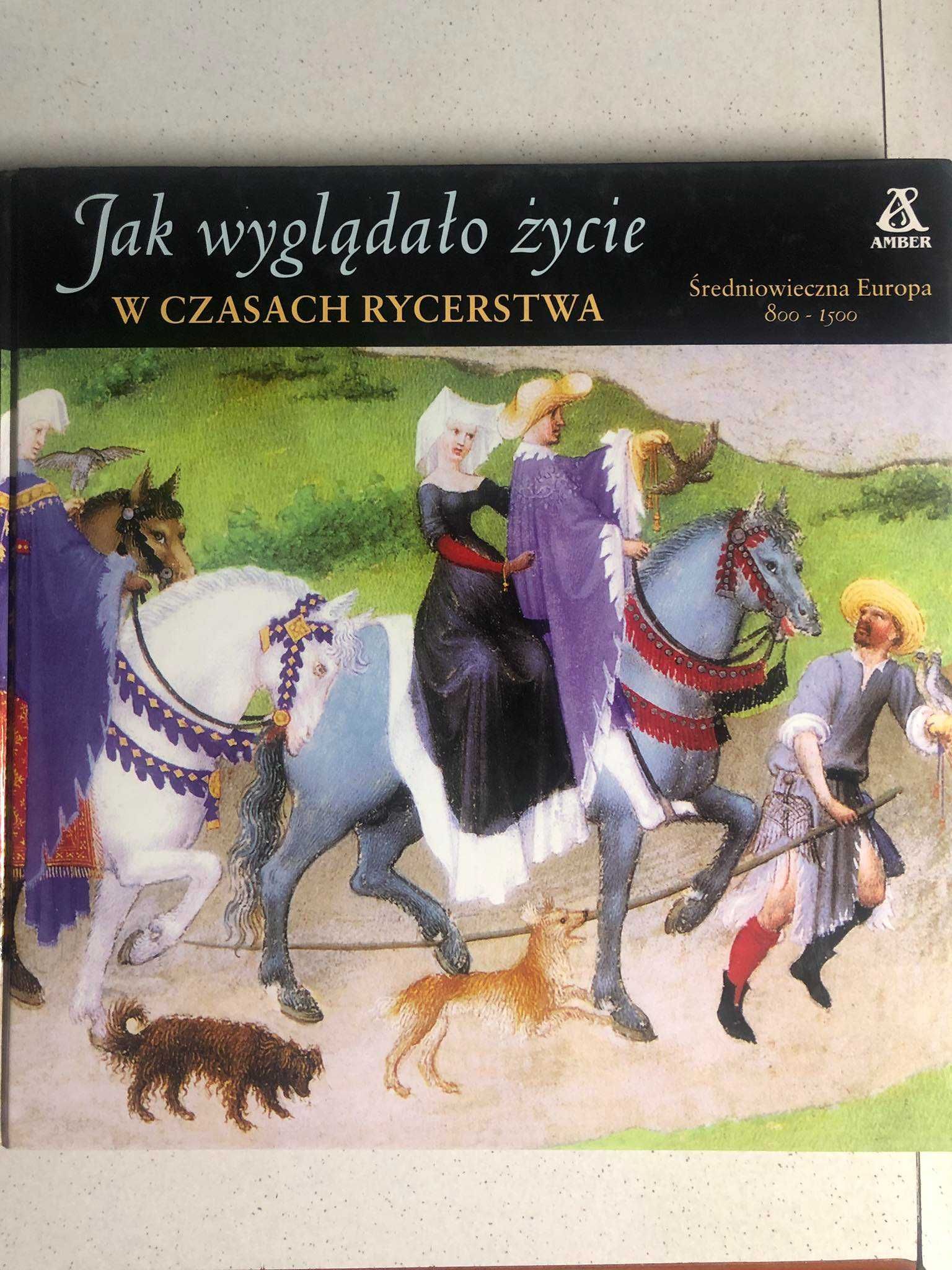 Jak wyglądało życie w czasach rycerstwa - AMBER