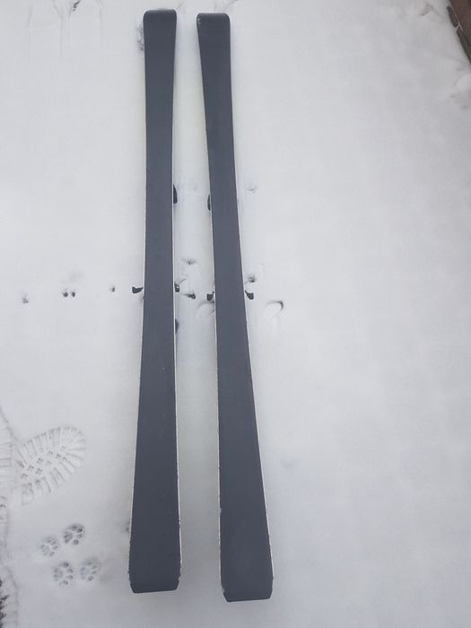 Гірські лижі Fisher