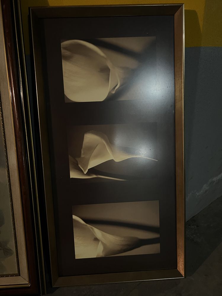 Conjunto de quadros