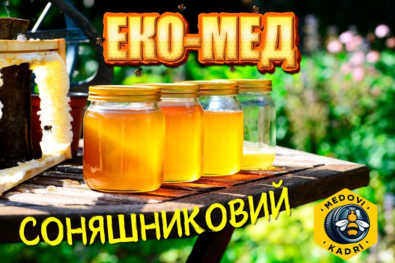 Мед соняшниковий (самий смачніший :)