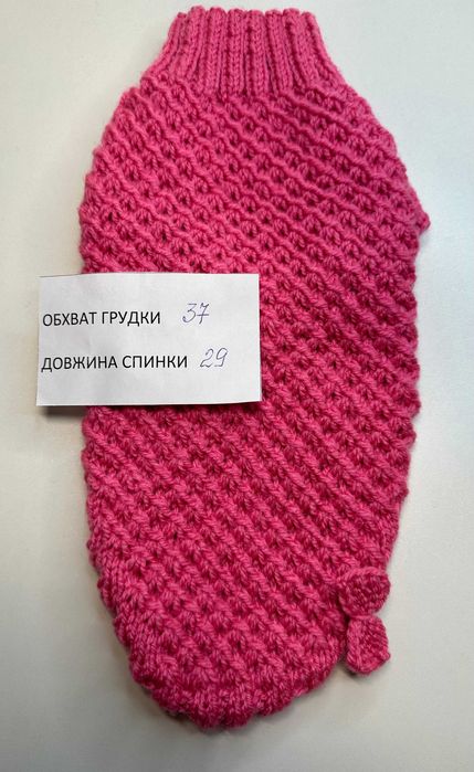 светри на  чихуахуа на маленькі породи собак котів