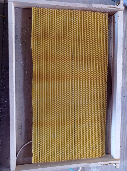 Матриця для виготовлення вощини Дадан