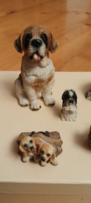 Kolekcja piesków .